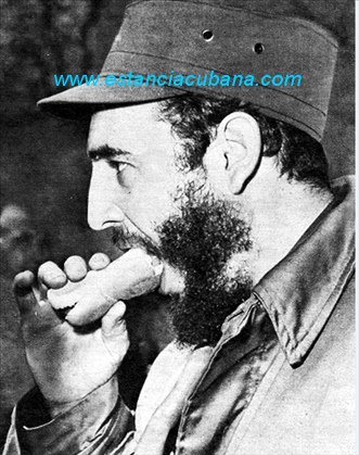 fidel dog