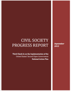 Civil Society Progress Report. 